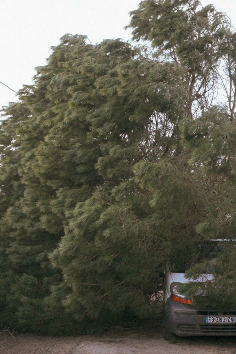 une camionnette blanche est sous un pin tombé sur la route suite à la tempête NILS dans les Landes