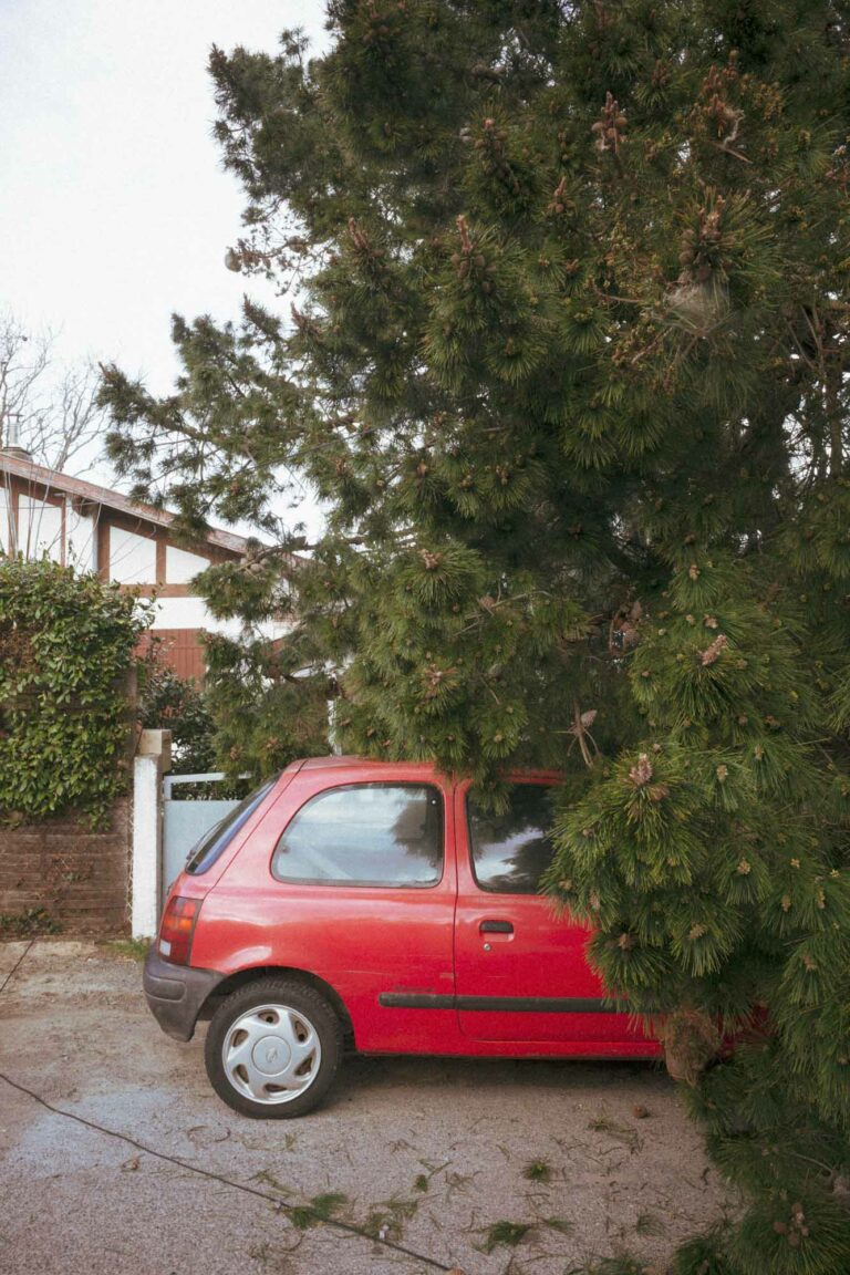 une voiture rouge sous un arbre suite à la tempête NILS à vieux-Boucau
