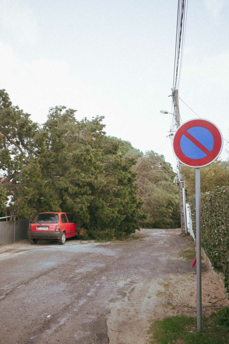 une rue montre un pin tombe en travers et une petite voiture rouge sous l'arbre