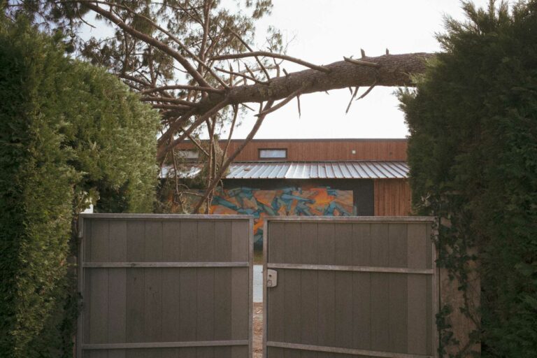 un arbe en travers de la route suite à la tempête NILS dans le sud ouest