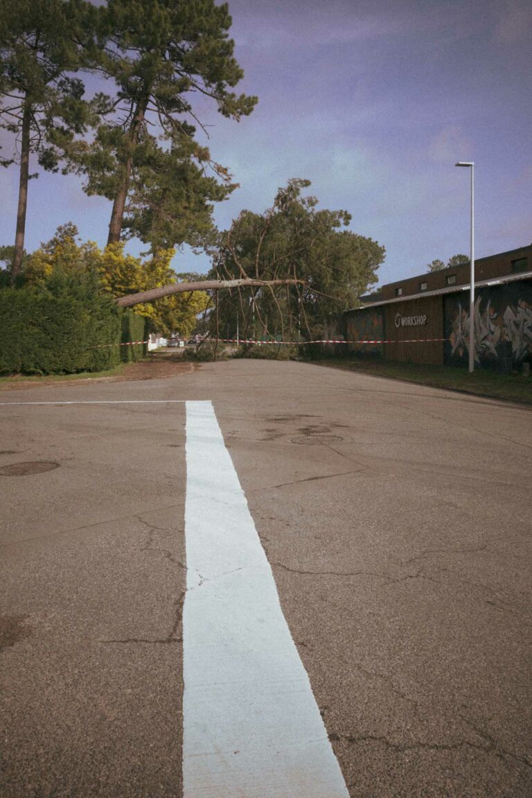 on voit un arbre geant couche en travers de la route qui empêche le passage des voitures suite àç la tempête NILS à Hossegor
