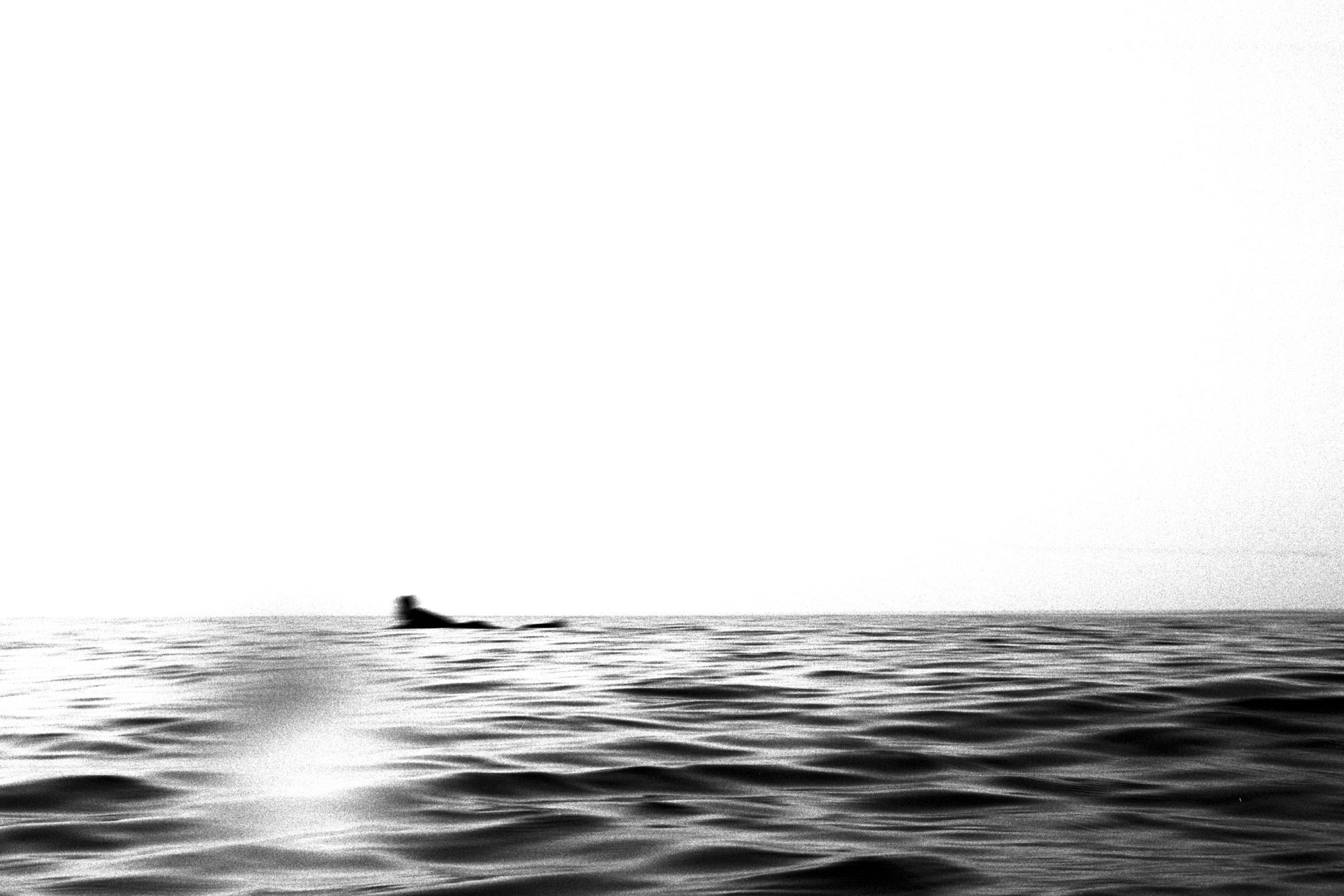 un surfeur allongé de loin sur l'eau , on l'imagine ramant seul - photo leica M6