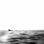 Silhouette solitaire flottant à l'horizon, tirage d'art argentique noir et blanc "Solitude Aquatique", MonVilain